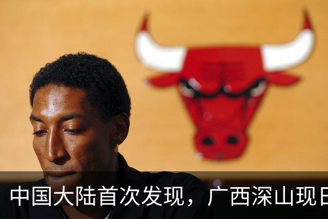 中国大陆首次发现，广西深山现"日本独有兰"，来源至今难解
