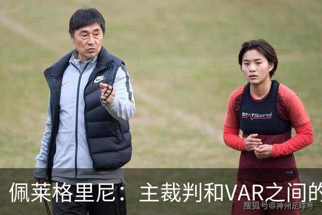 佩莱格里尼：主裁判和VAR之间的协作衔接，应该是需要改进的地方