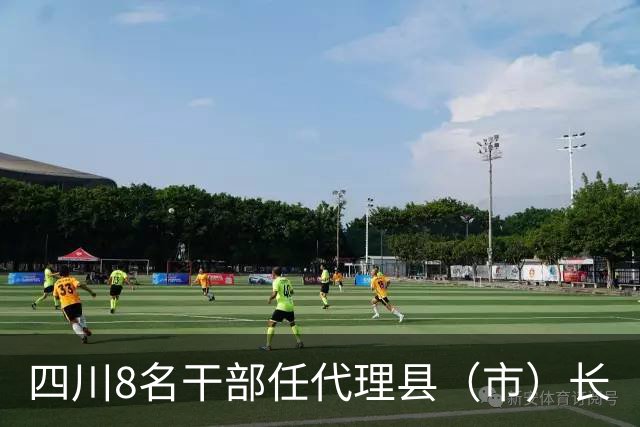 四川8名干部任代理县（市）长