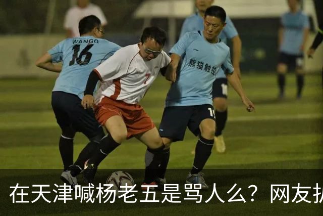 在天津喊杨老五是骂人么？网友扒出杨议代言火腿肠，商标就是津门杨老五
