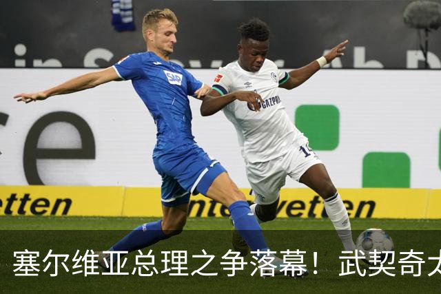 塞尔维亚总理之争落幕！武契奇太高估自己，落选后将锅甩到欧美