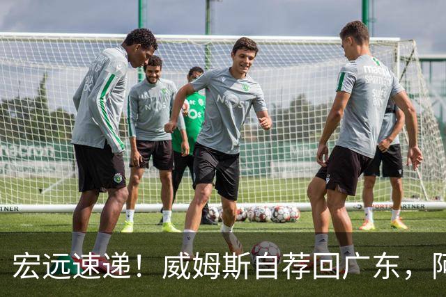 宏远速递！威姆斯自荐回广东，阿祖即将被裁，杨鸣建议请回莫兰德