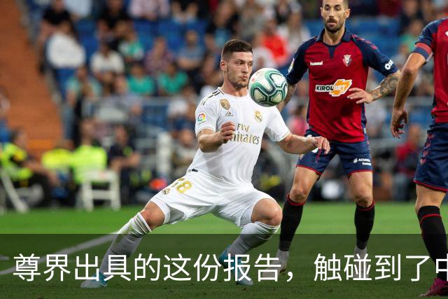 尊界出具的这份报告，触碰到了中国车圈最深的障碍