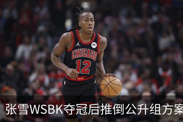 张雪WSBK夺冠后推倒公升组方案：弃四缸改自研V5，两年冲公升组经理放话全力托底