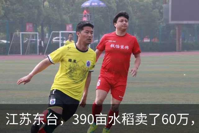 江苏东台，390亩水稻卖了60万，农户：成本49万，纯利润11万