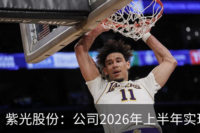 紫光股份：公司2026年上半年实现营业收入635.16亿，同比增长33.93%