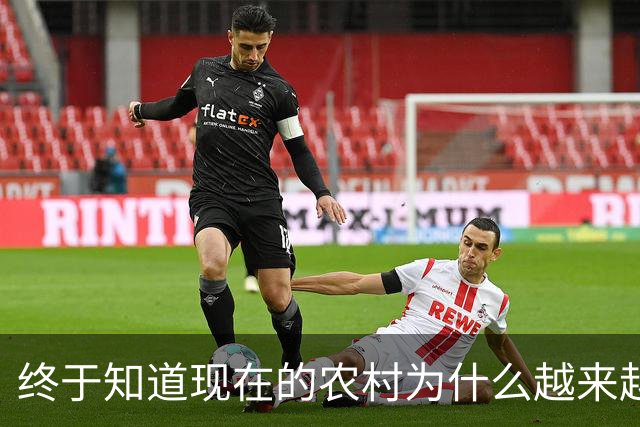 终于知道现在的农村为什么越来越多人买车了，网友的回答真相了！