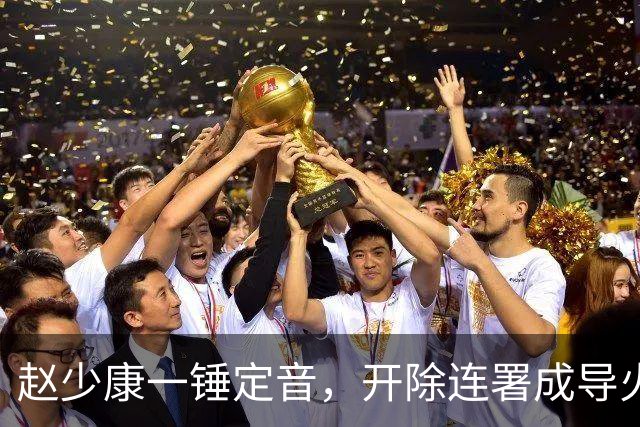赵少康一锤定音，开除连署成导火索，郑丽文坐不住，谁在踢球？