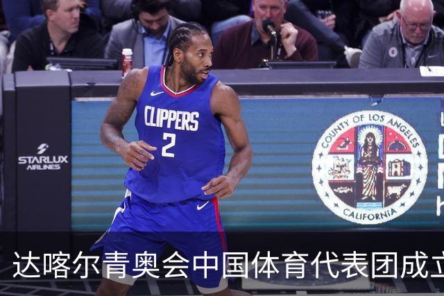 达喀尔青奥会中国体育代表团成立-国际在线