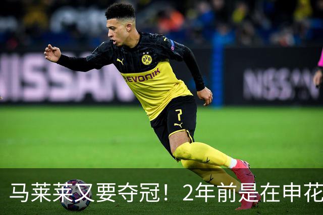马莱莱又要夺冠！2年前是在申花 今年在大连英博 不过他现在有点尴尬