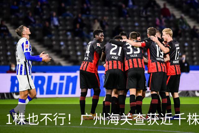 1株也不行！广州海关查获近千株盆栽，有625盆竟是“国宝级”植物